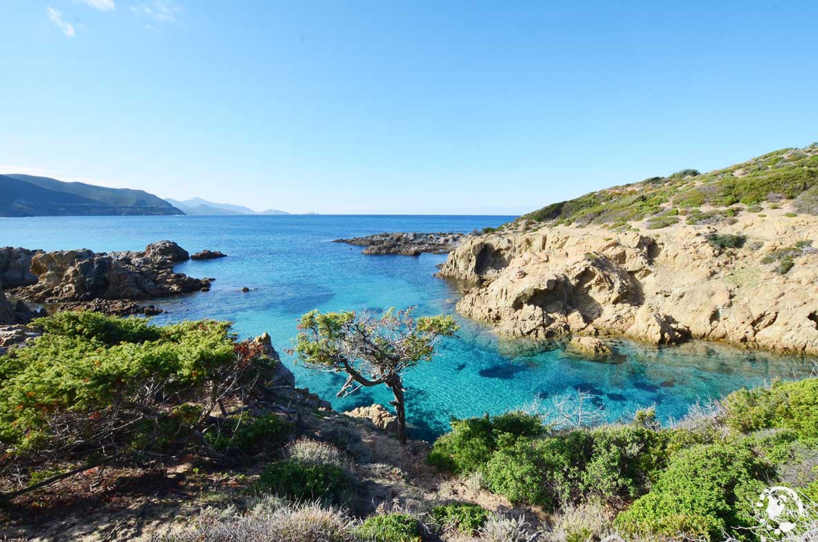 Road trip en Corse