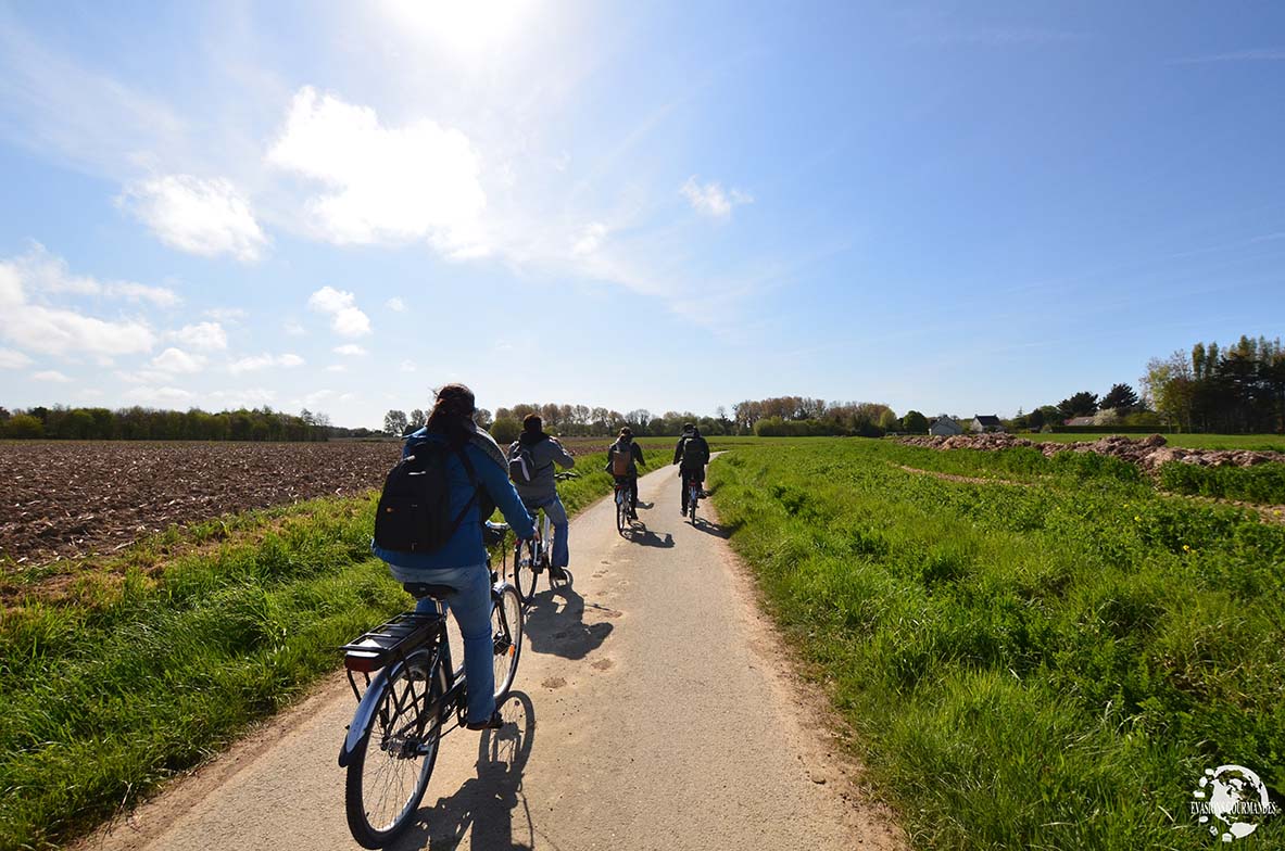 Vélo électrique