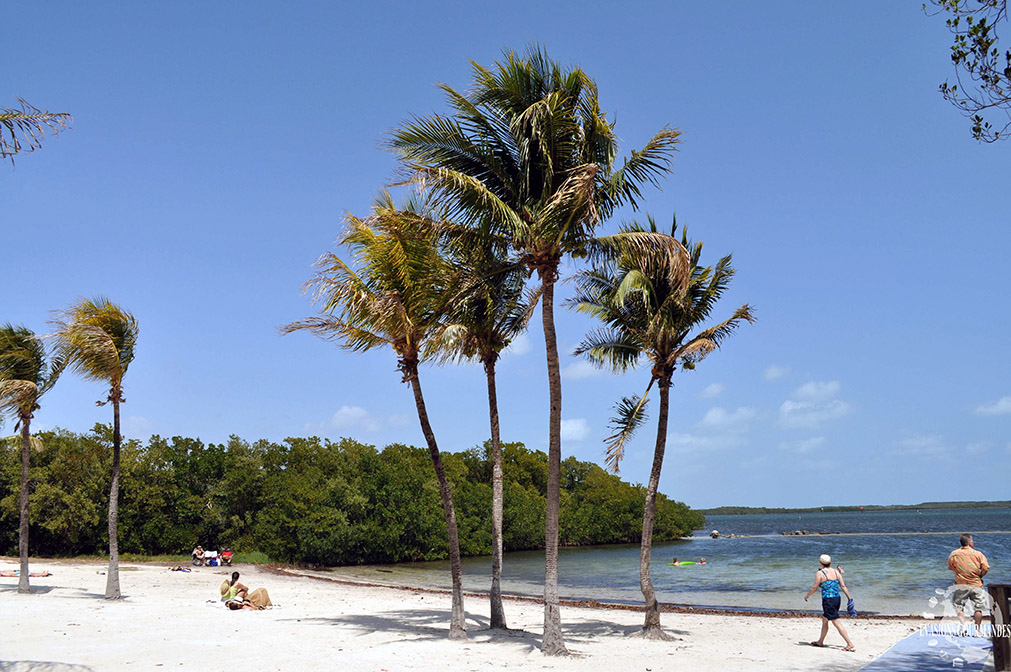 Les Keys en Floride