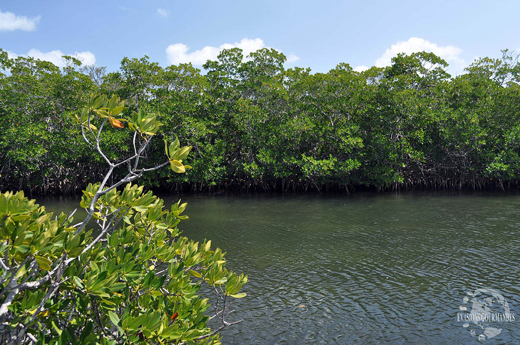 Les Keys en Floride