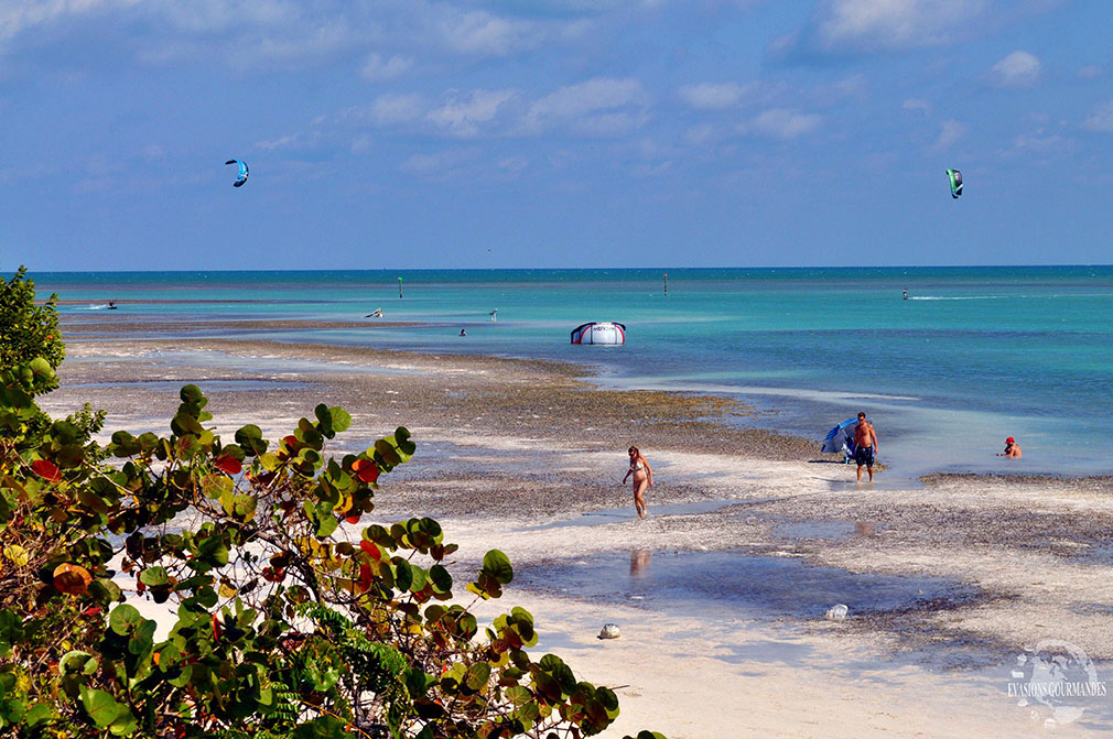 Les Keys en Floride