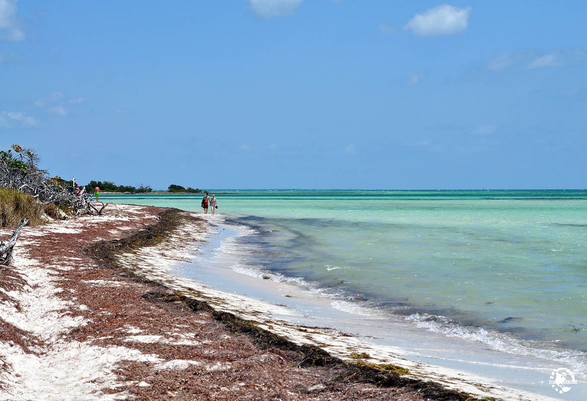 Les Keys en Floride