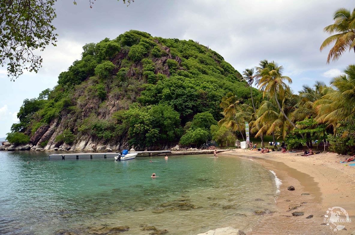 Visite des Saintes Guadeloupe