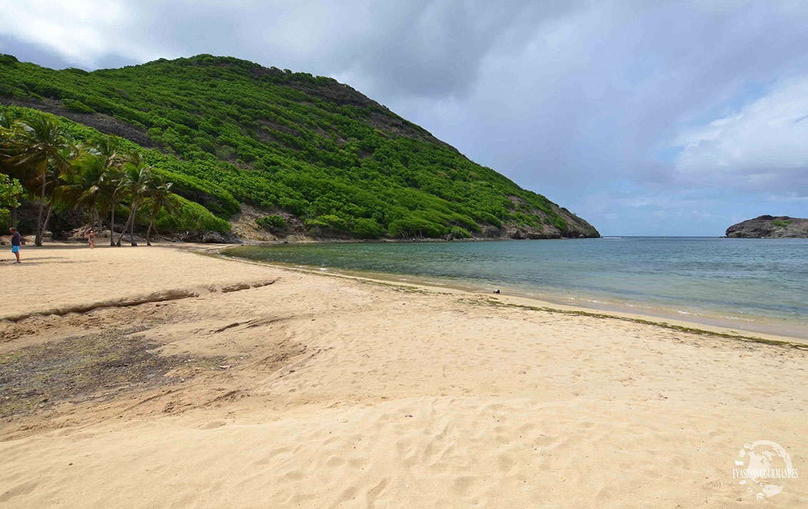 Visite des Saintes Guadeloupe