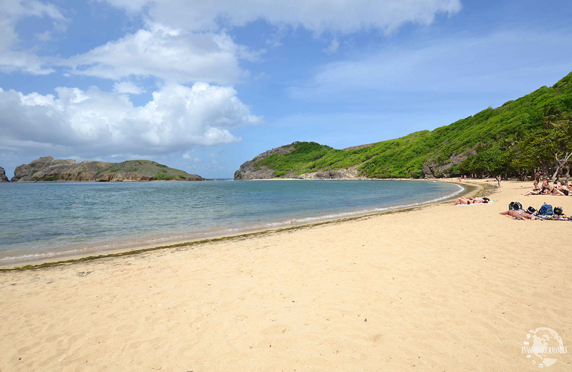 Visite des Saintes Guadeloupe