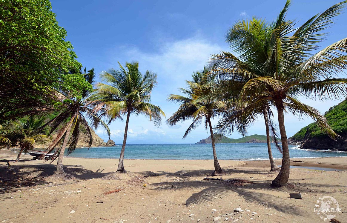 Visite des Saintes Guadeloupe