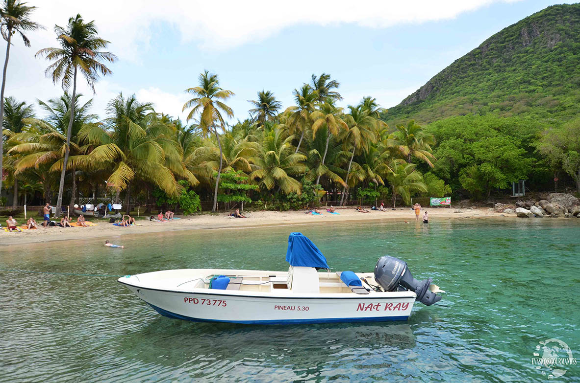 Visite des Saintes Guadeloupe