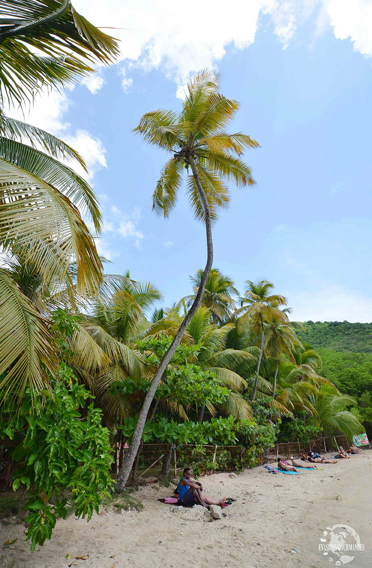 Visite des Saintes Guadeloupe