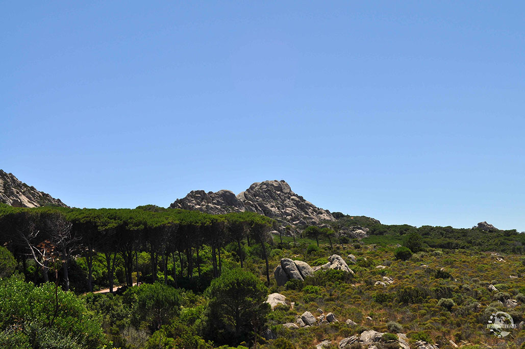 Île de Caprera Sardaigne