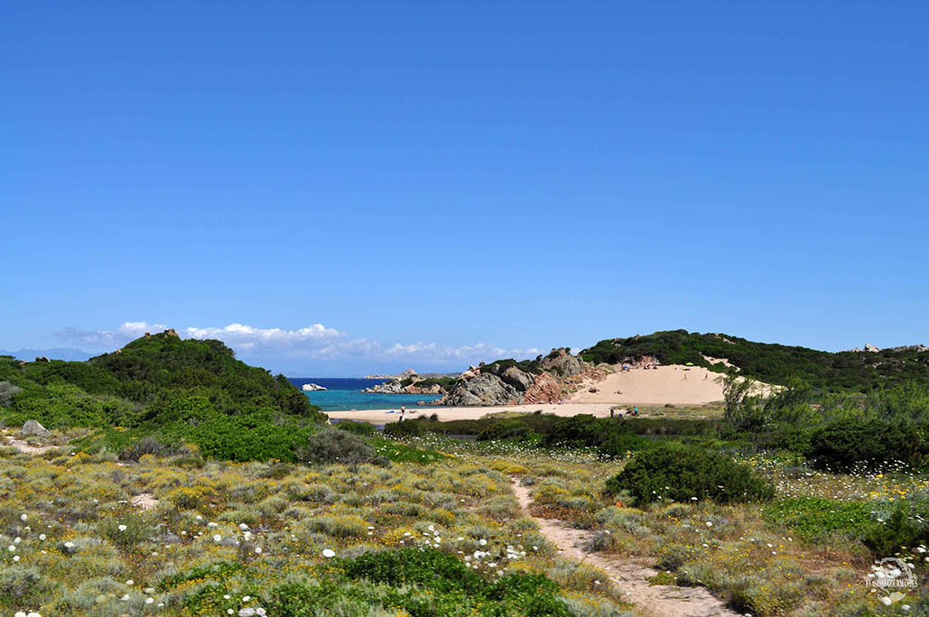 les de la Maddalena Sardaigne