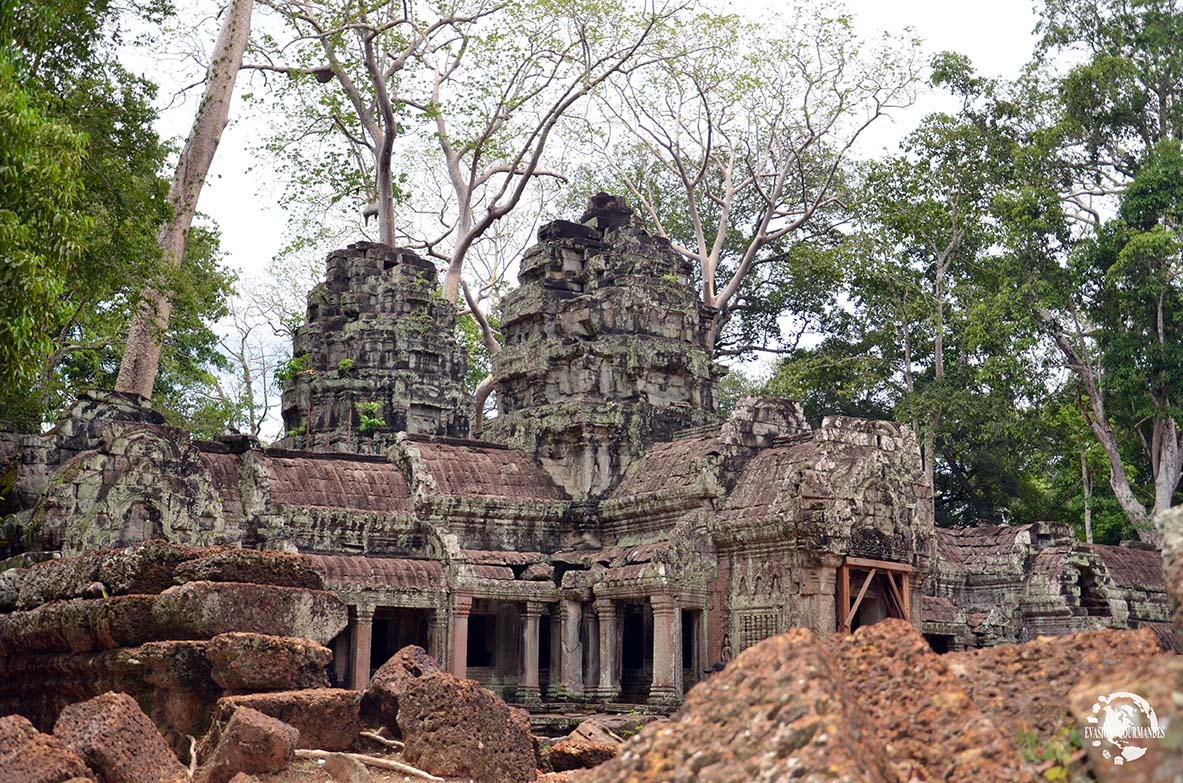 Ta Prohm