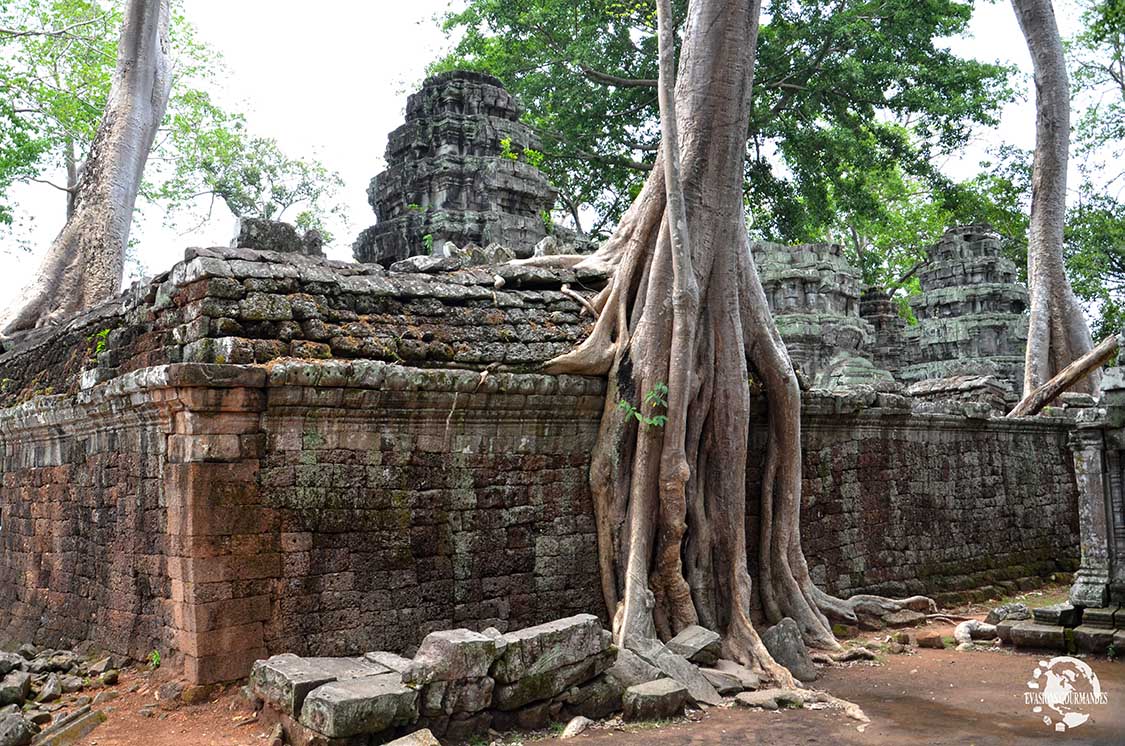 Ta Prohm