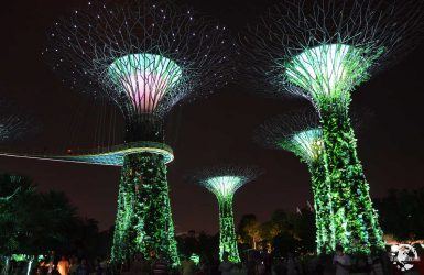 Garden by the Bay