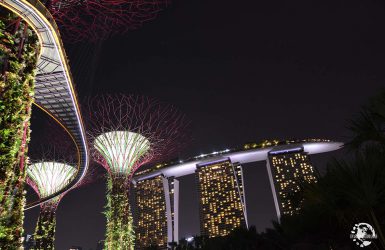 Garden by the Bay