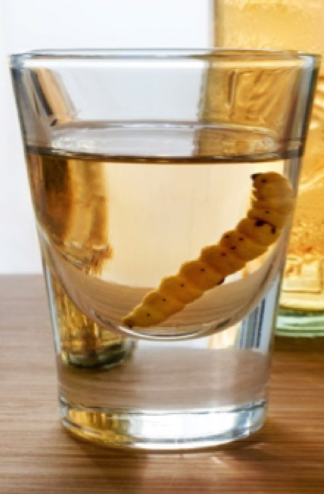 Mezcal Abocado Mezcal Abocado