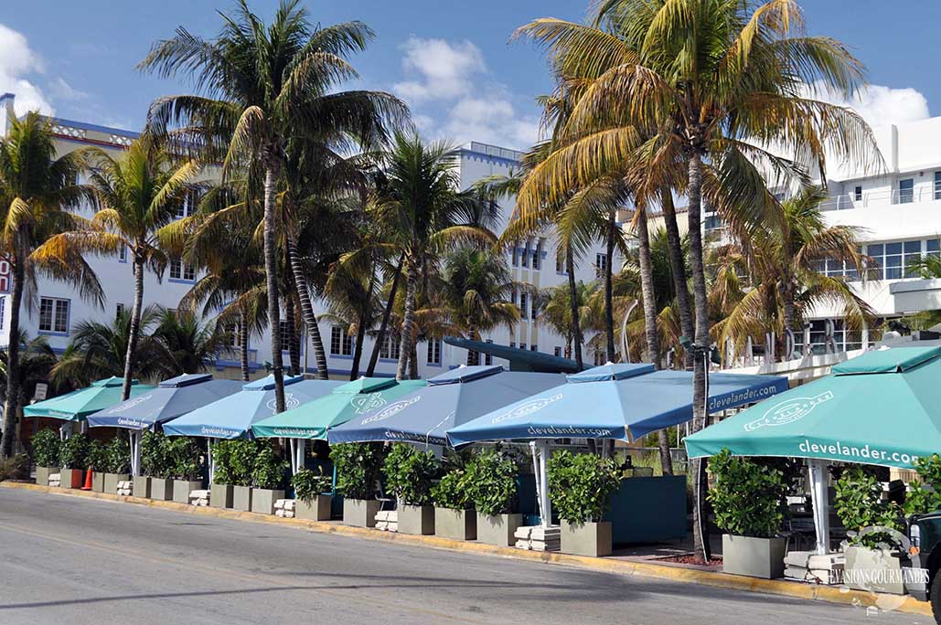 Ocean Drive