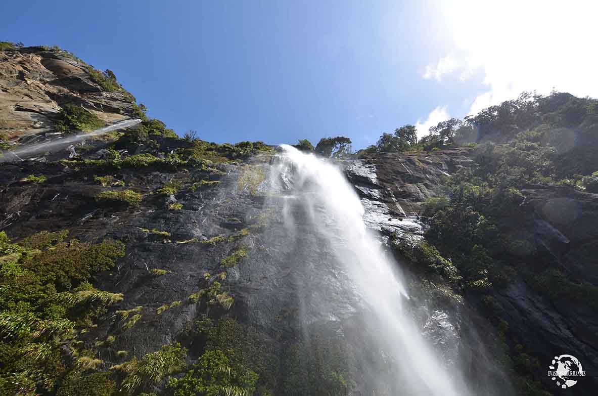 croisière à Milford Sound