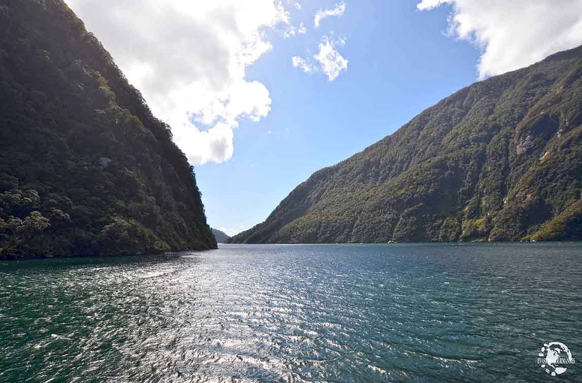 croisière à Milford Sound