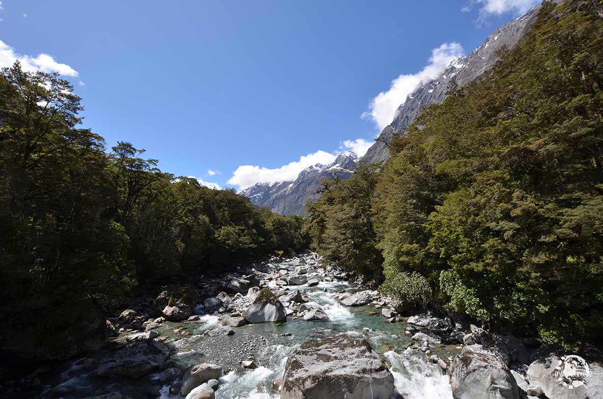 Milford Sound