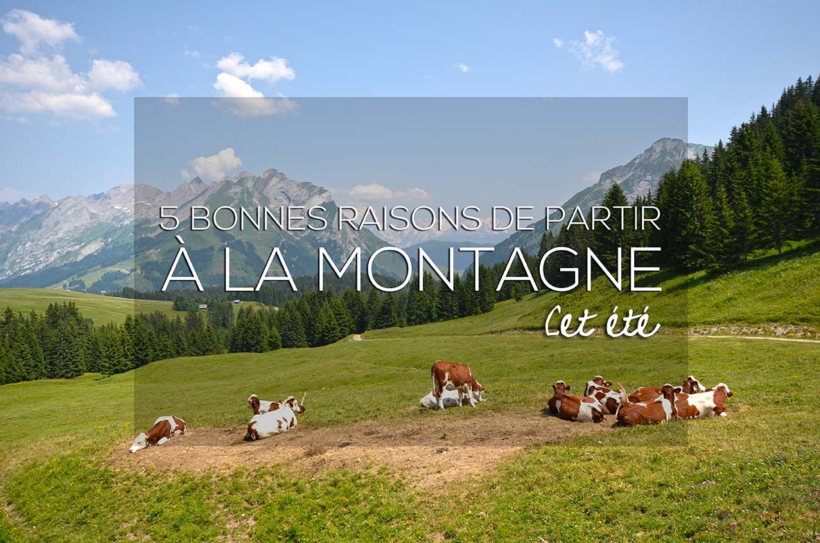 La montagne en été