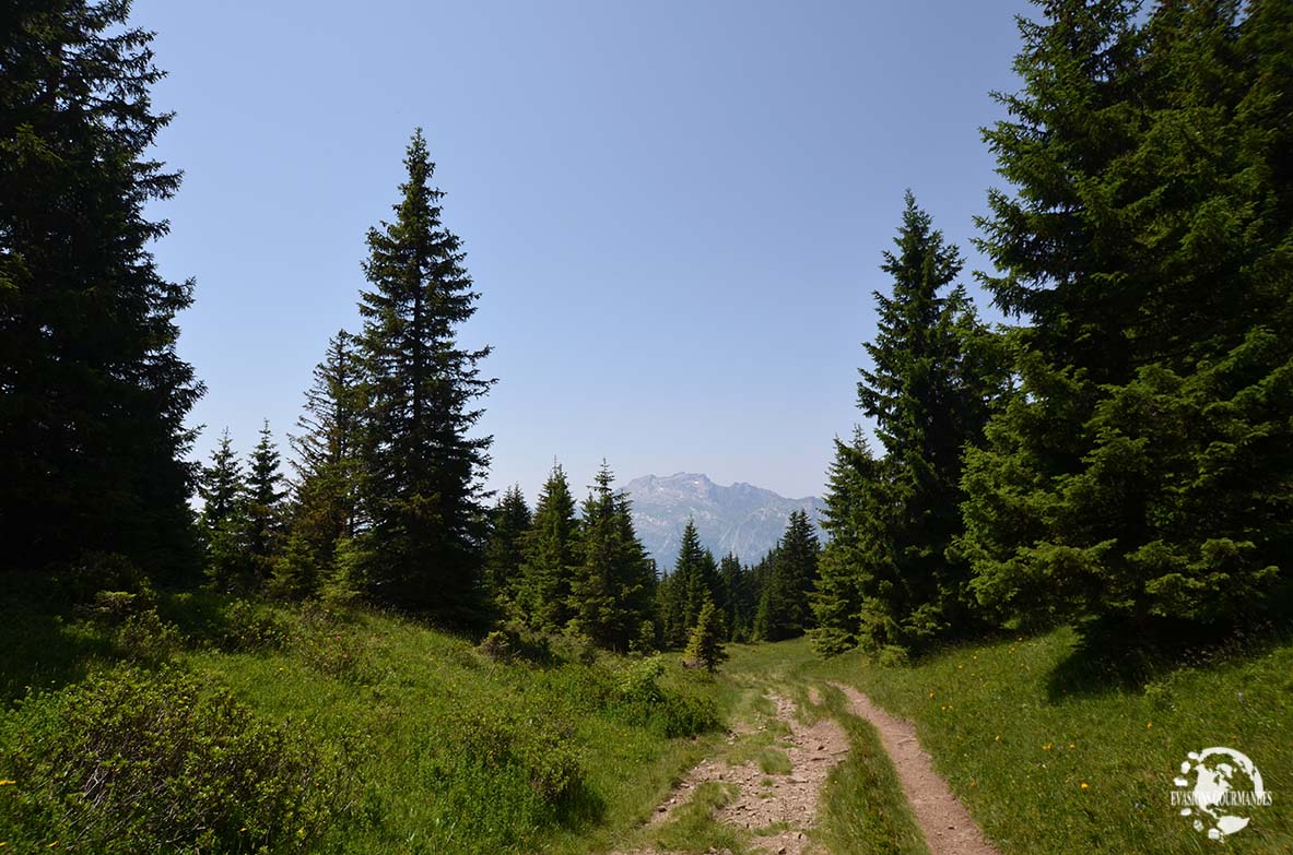 La montagne en été