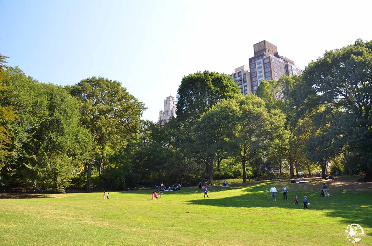 Central Park