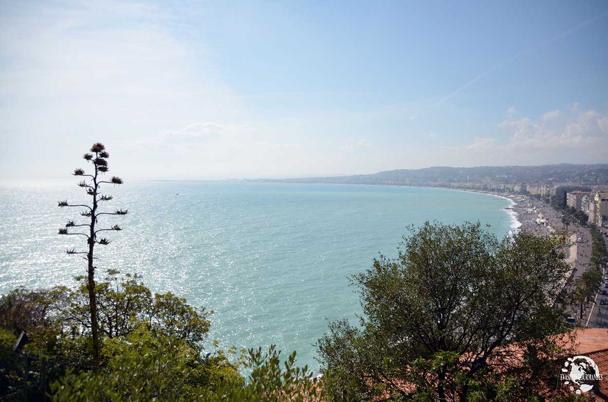 Colline du Château Nice