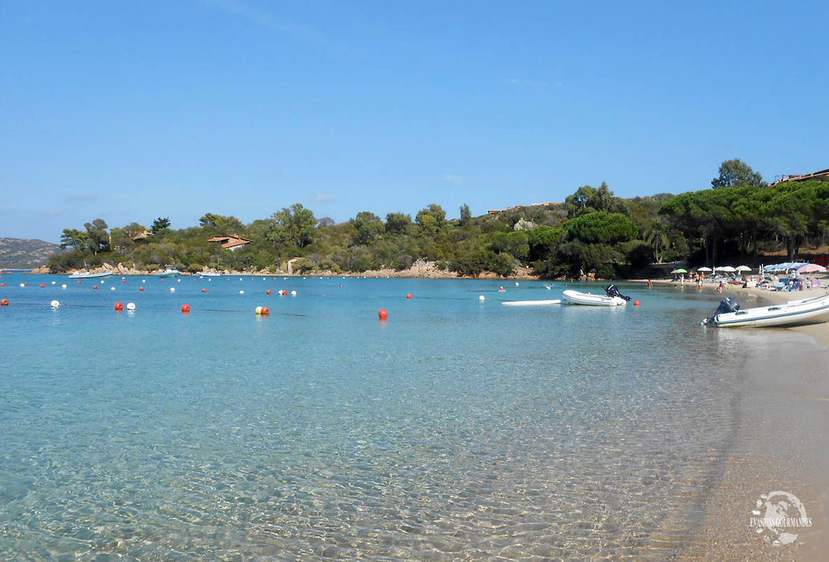 Le Farfalle Sardaigne Evasions Gourmandes