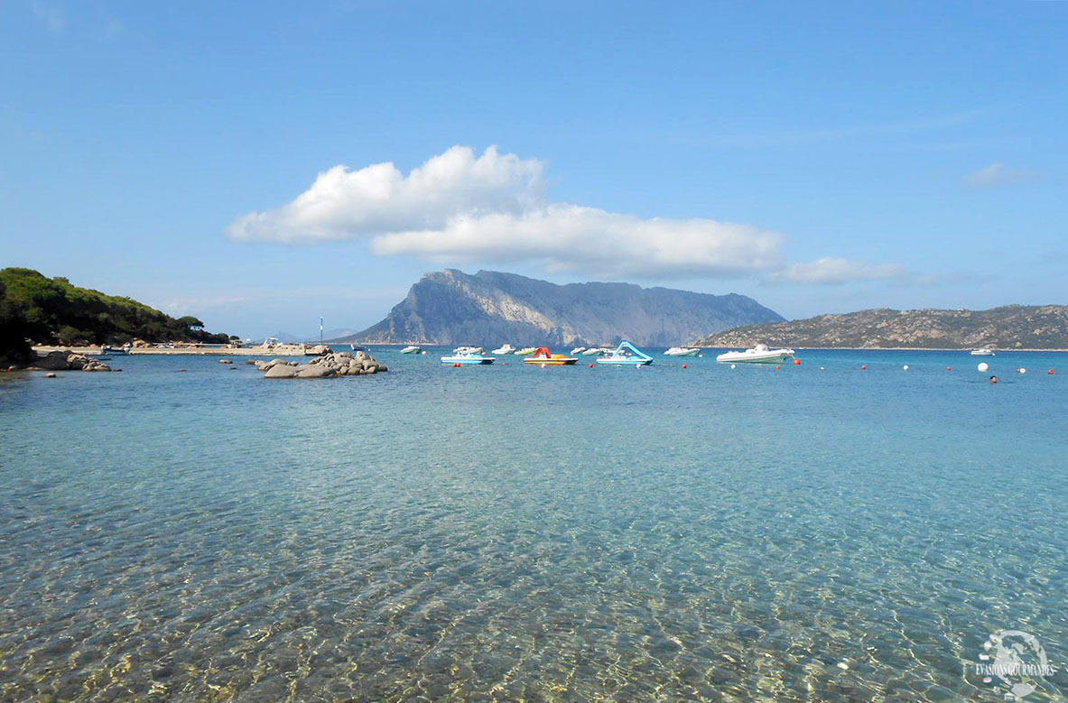 Le Farfalle Sardaigne Evasions Gourmandes