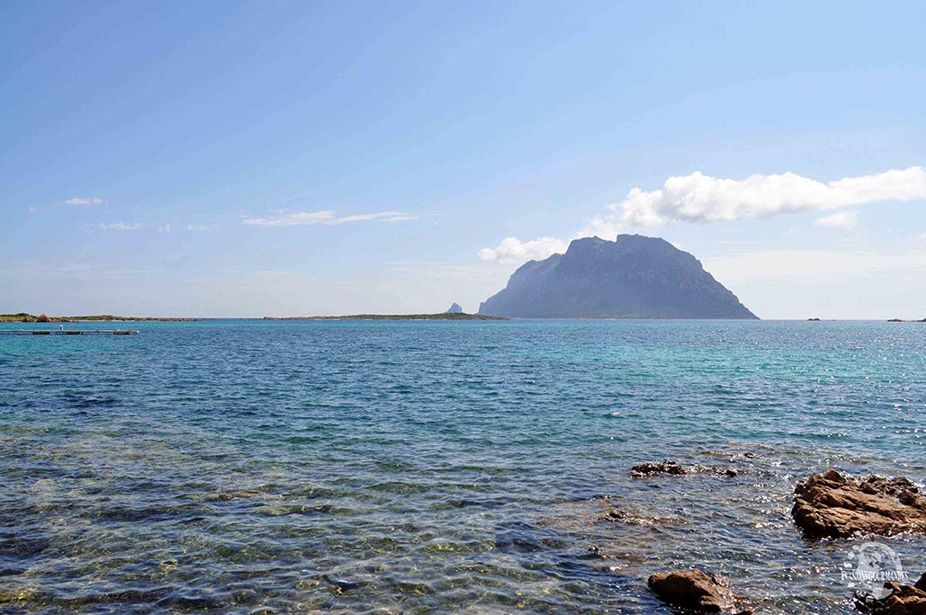 Porto San Paolo Sardaigne Evasions Gourmandes