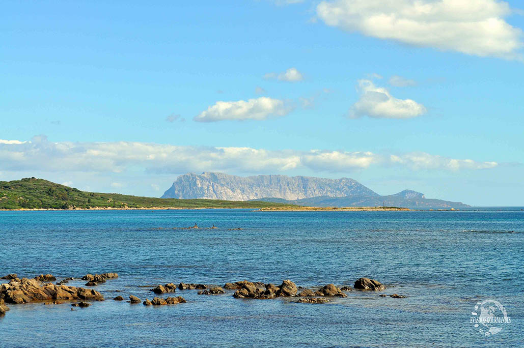 Tavolara Sardaigne Evasions Gourmandes