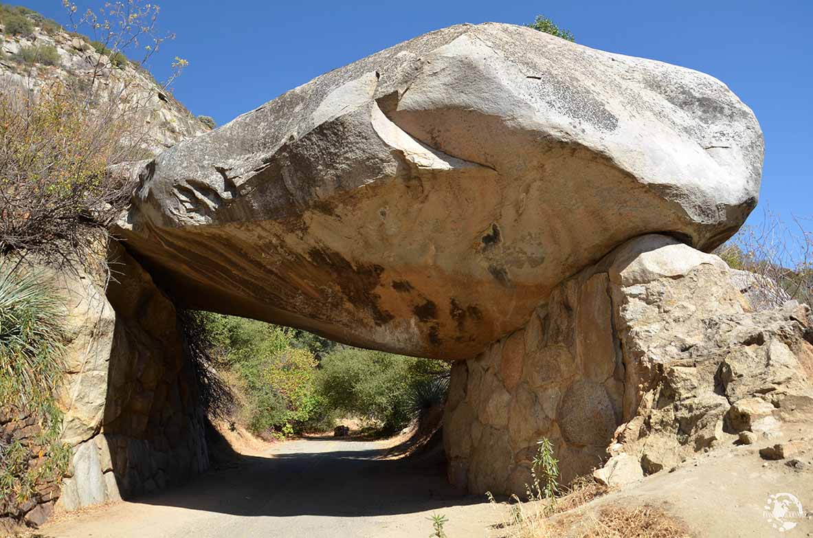 Sequoia National Park