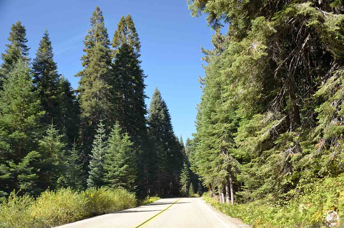 Sequoia National Park