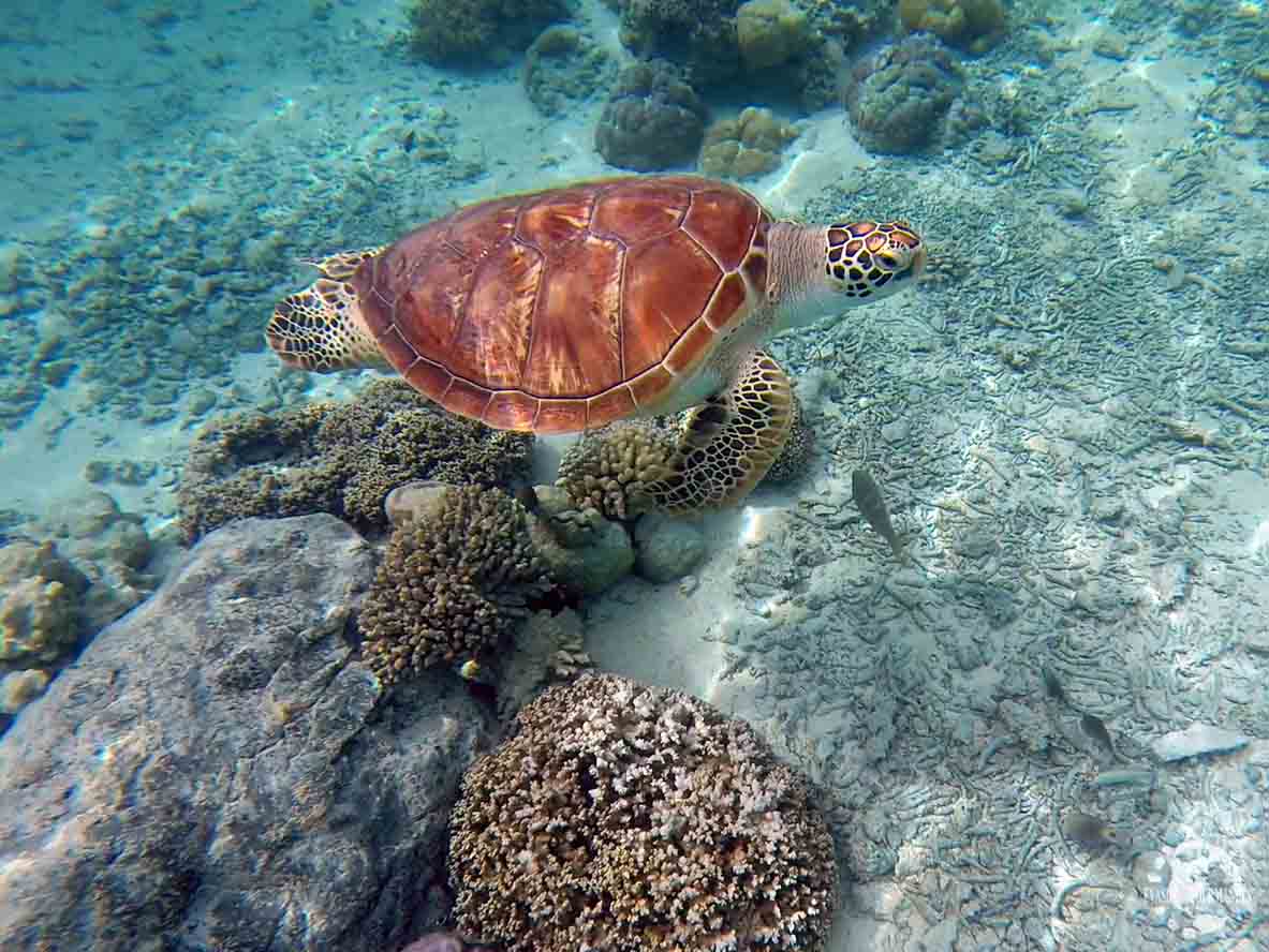 Meridien Bora Bora