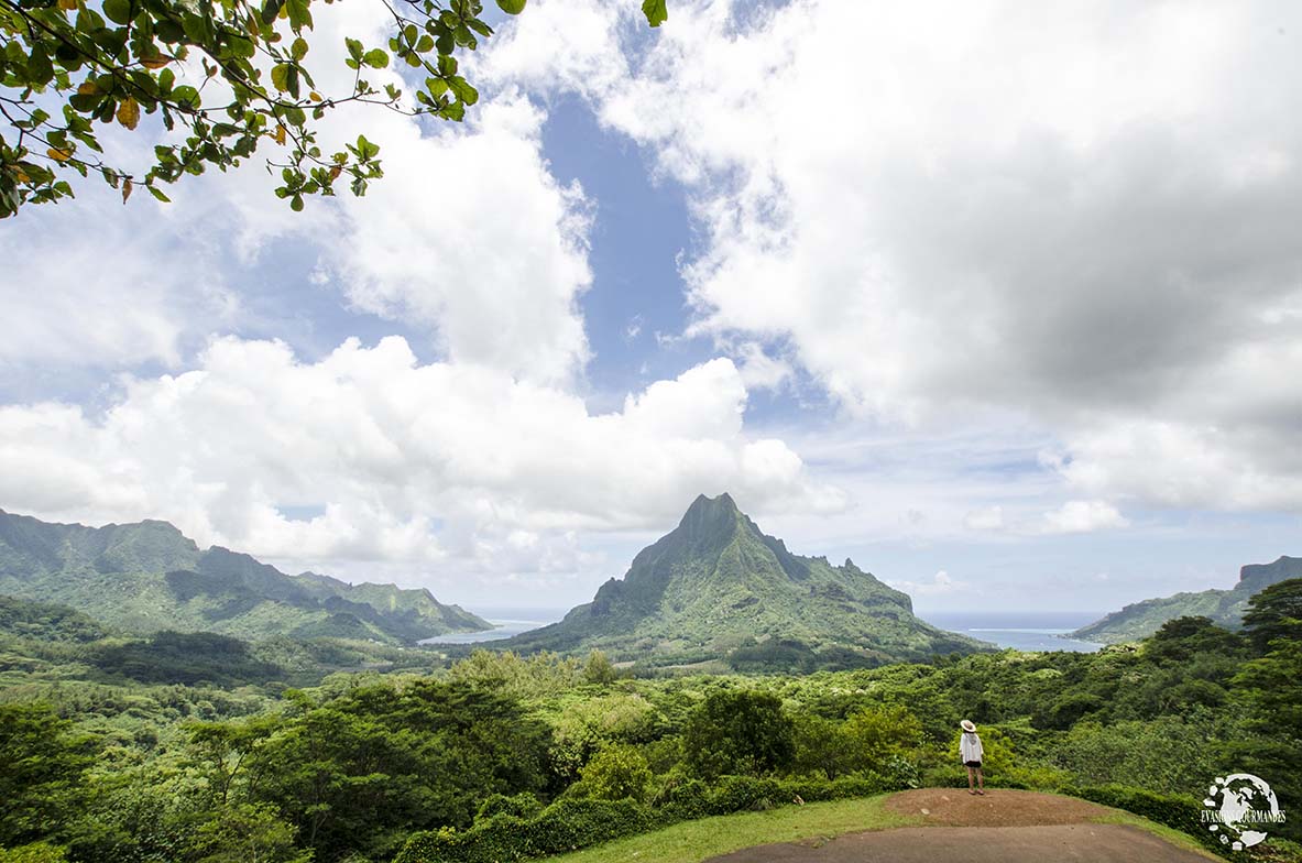 Belvédère Lookout Moorea