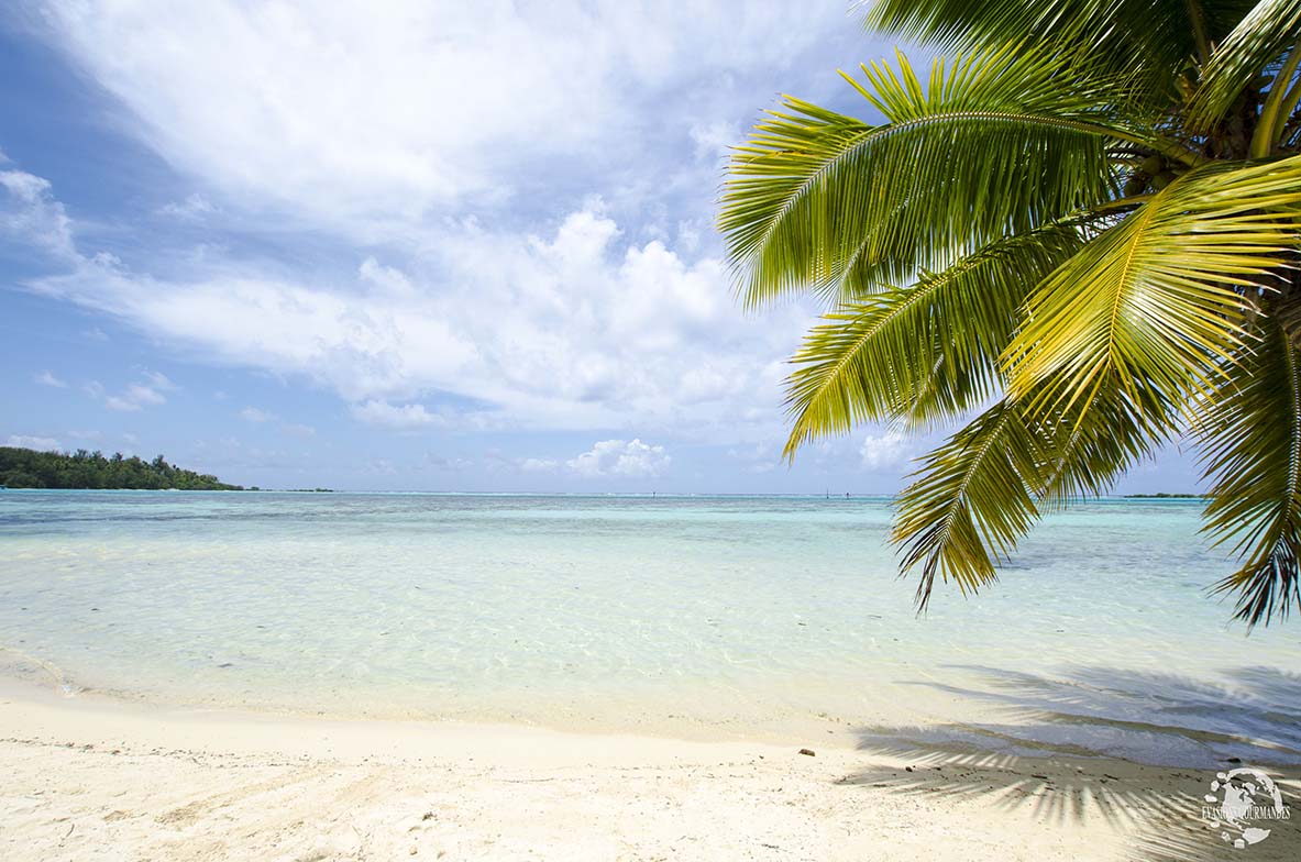 Plage Tipaniers