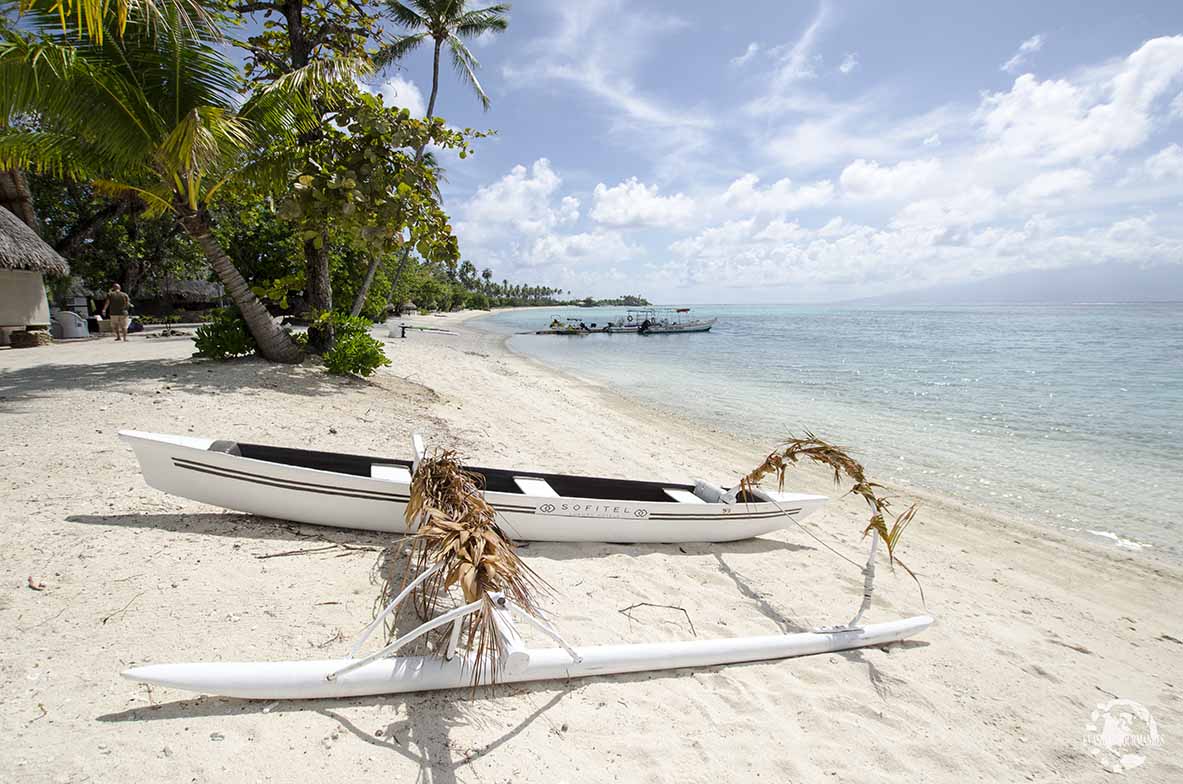 Pirogue polynésienne