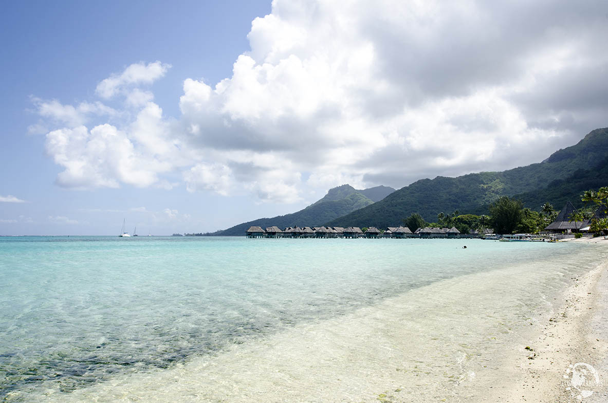 Plage de Temae, Moorea