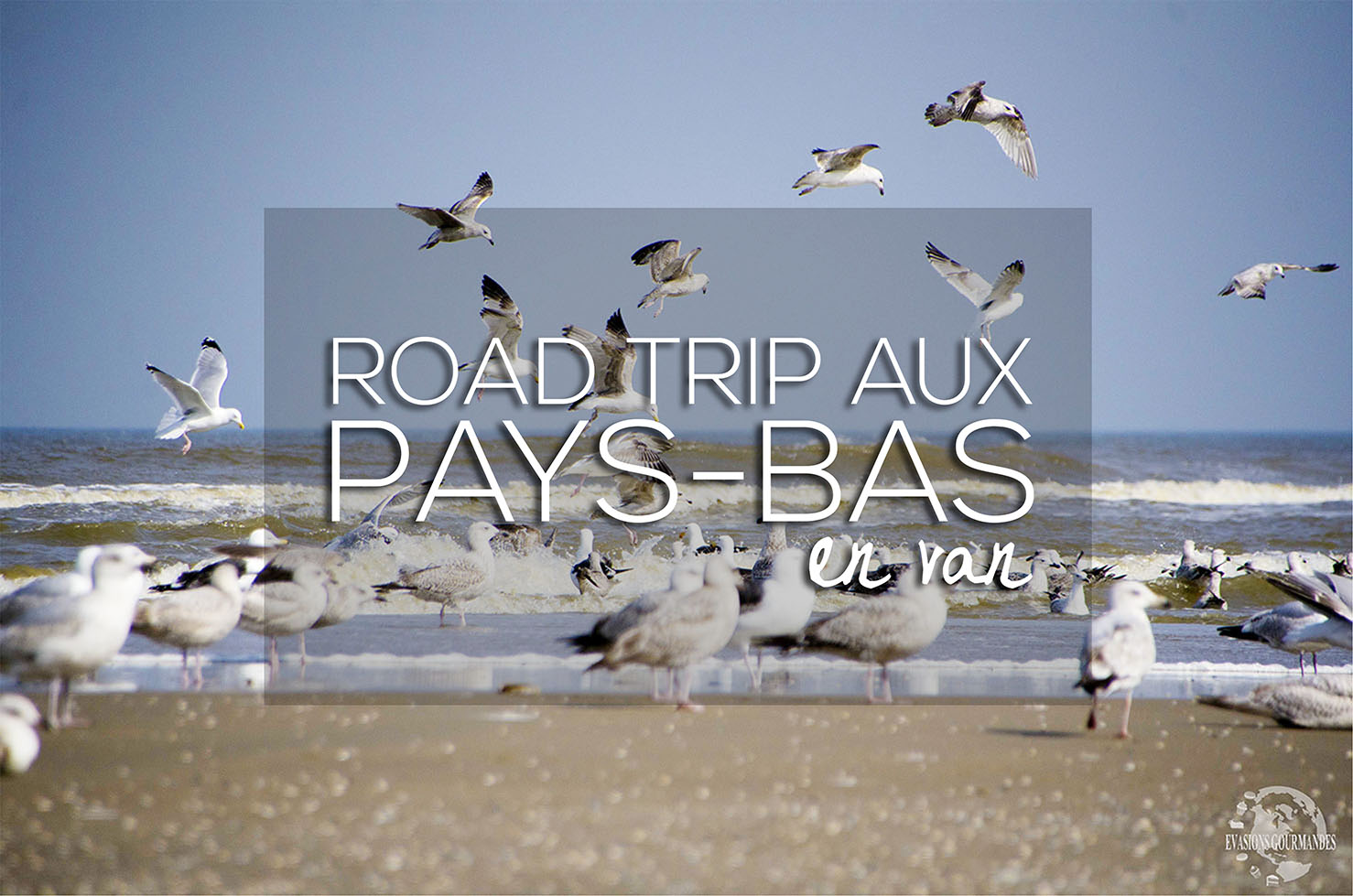 Road trip aux Pays-Bas Road trip aux Pays-Bas