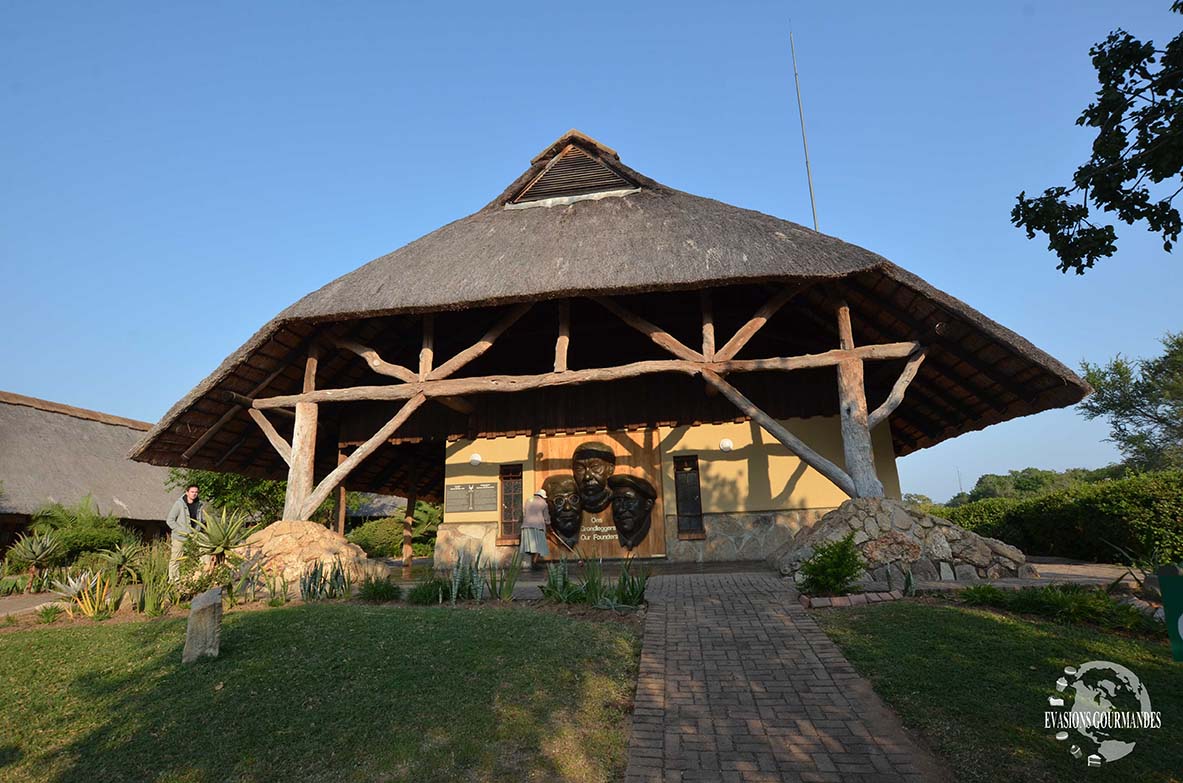 faire son safari tout seul au parc Kruger