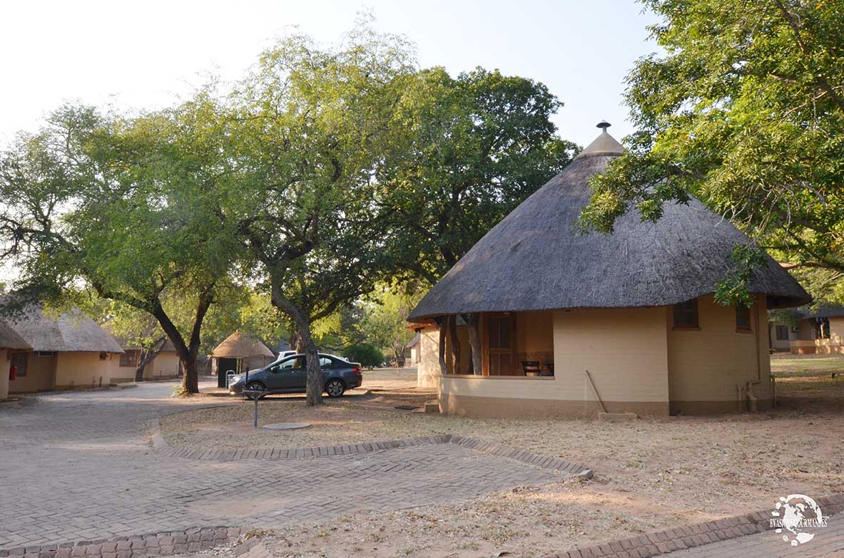 faire son safari tout seul au parc Kruger