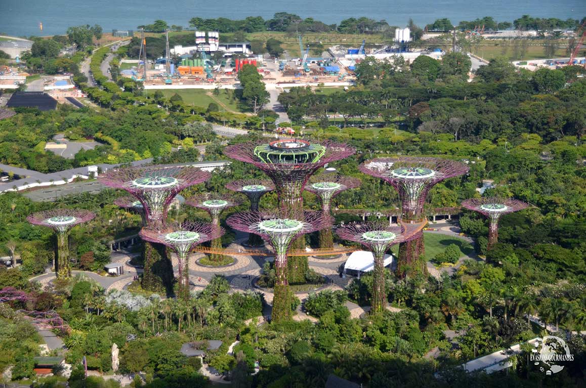 Garden by the Bay