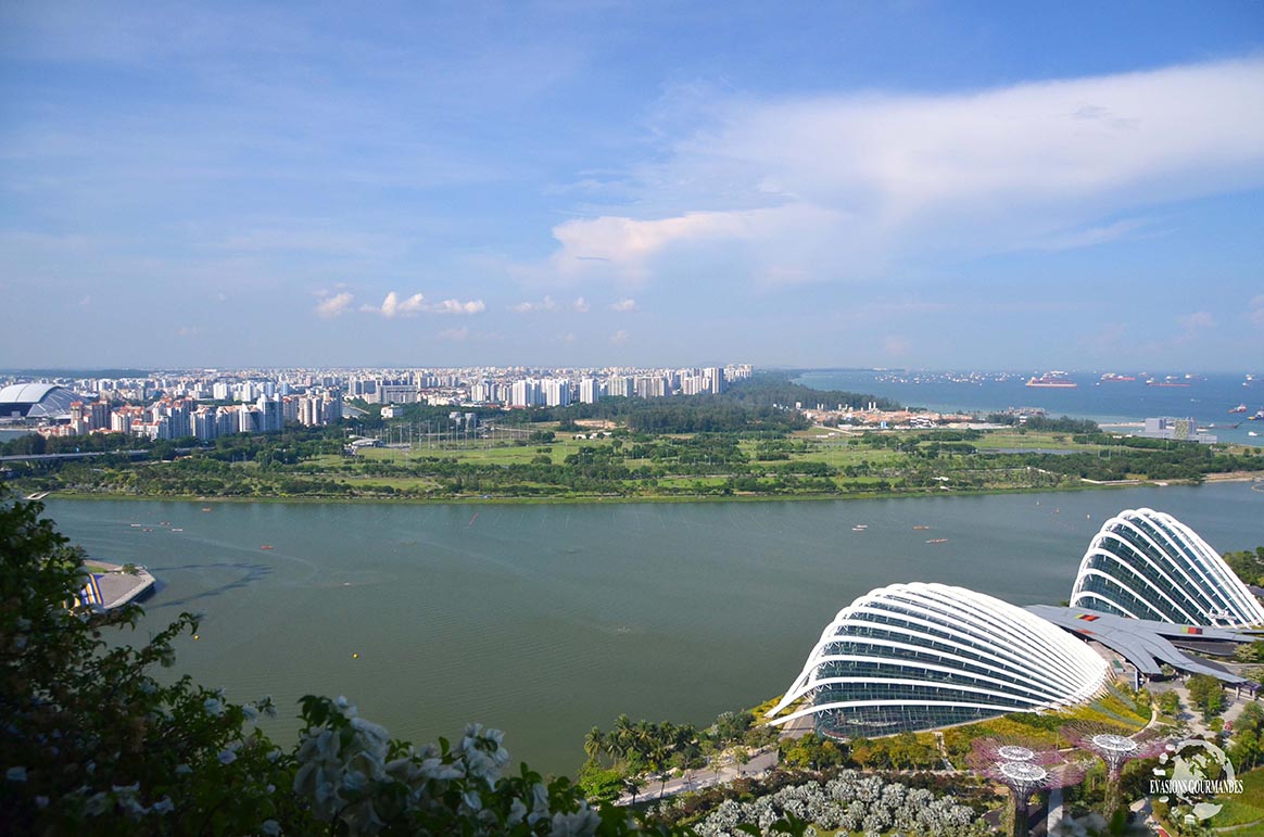 Que faire à Singapour