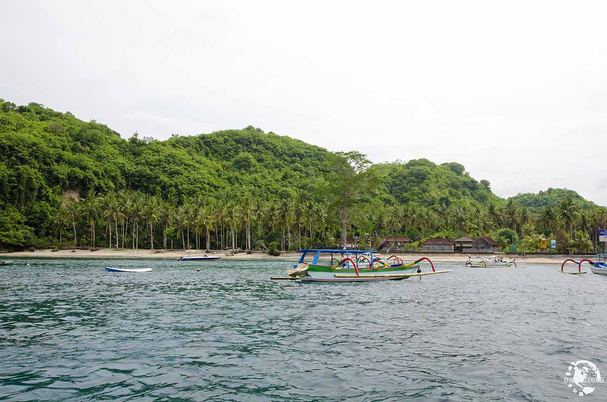 Snorkeling à Bali