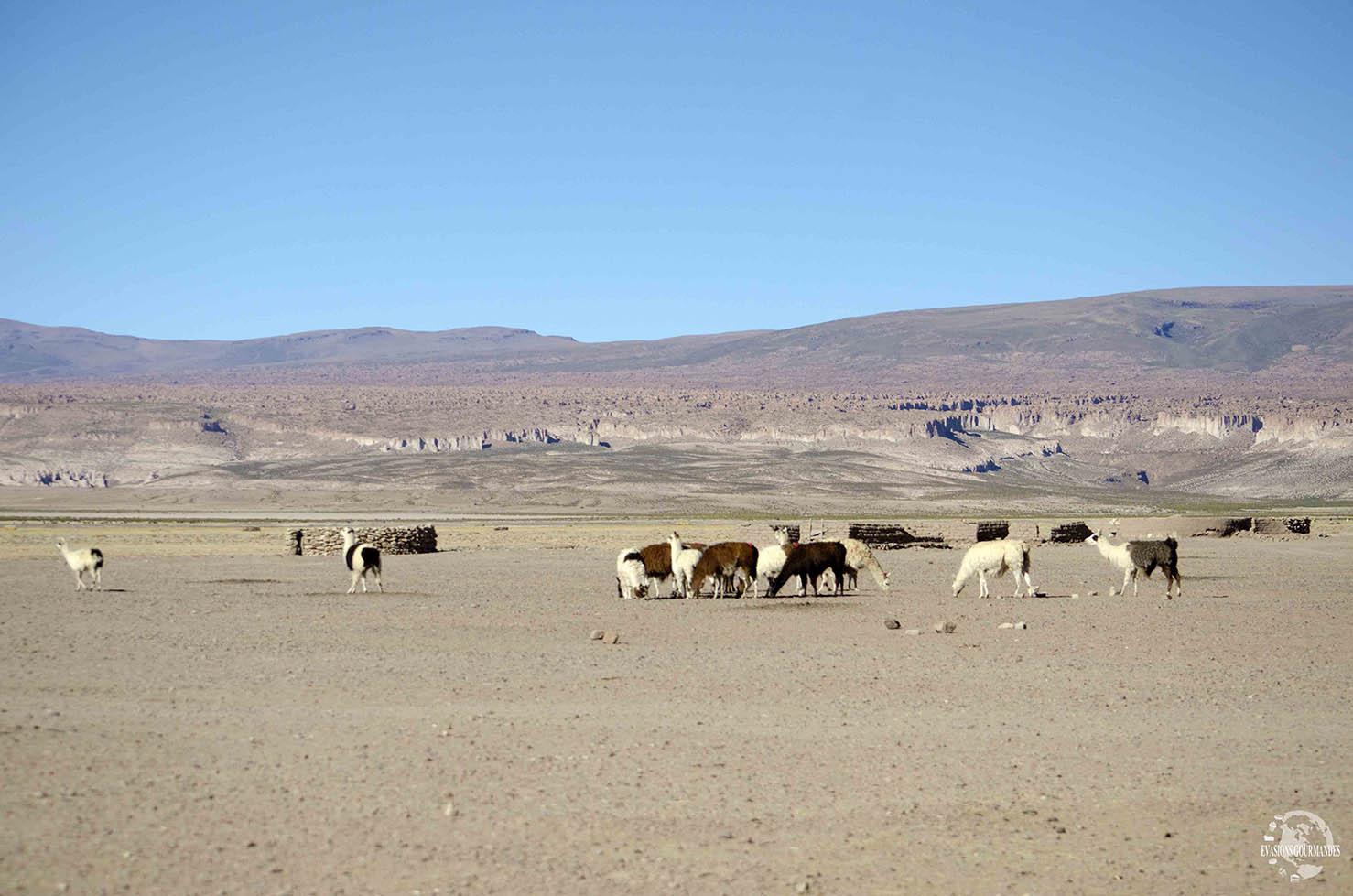 Road trip dans le Sud Lipez