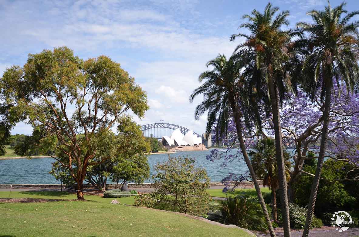 que faire à Sydney