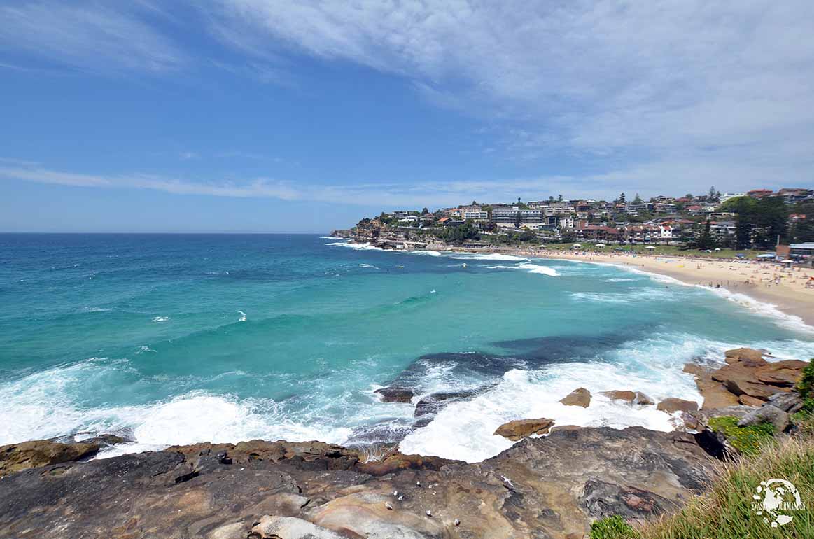 Bondi Beach