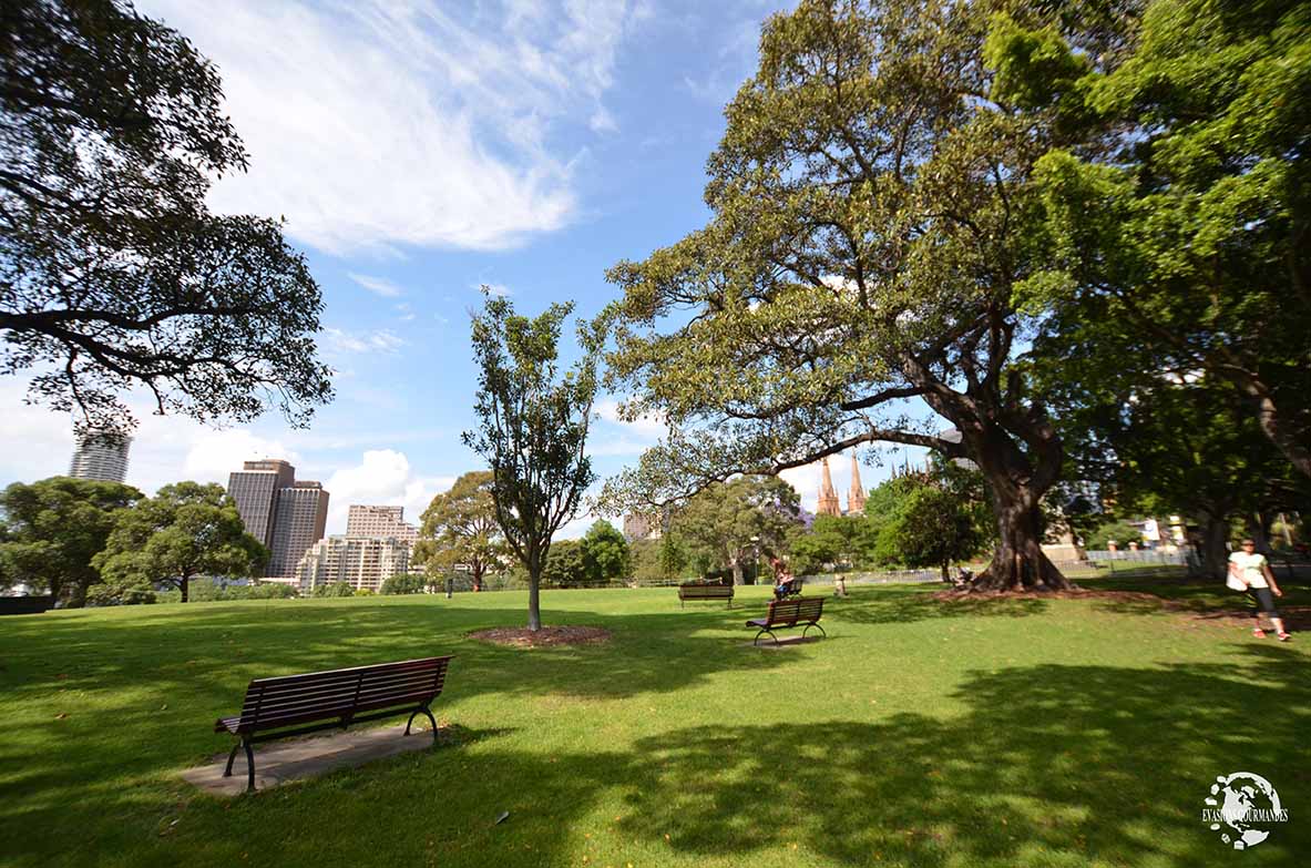 jardin botanique Sydney