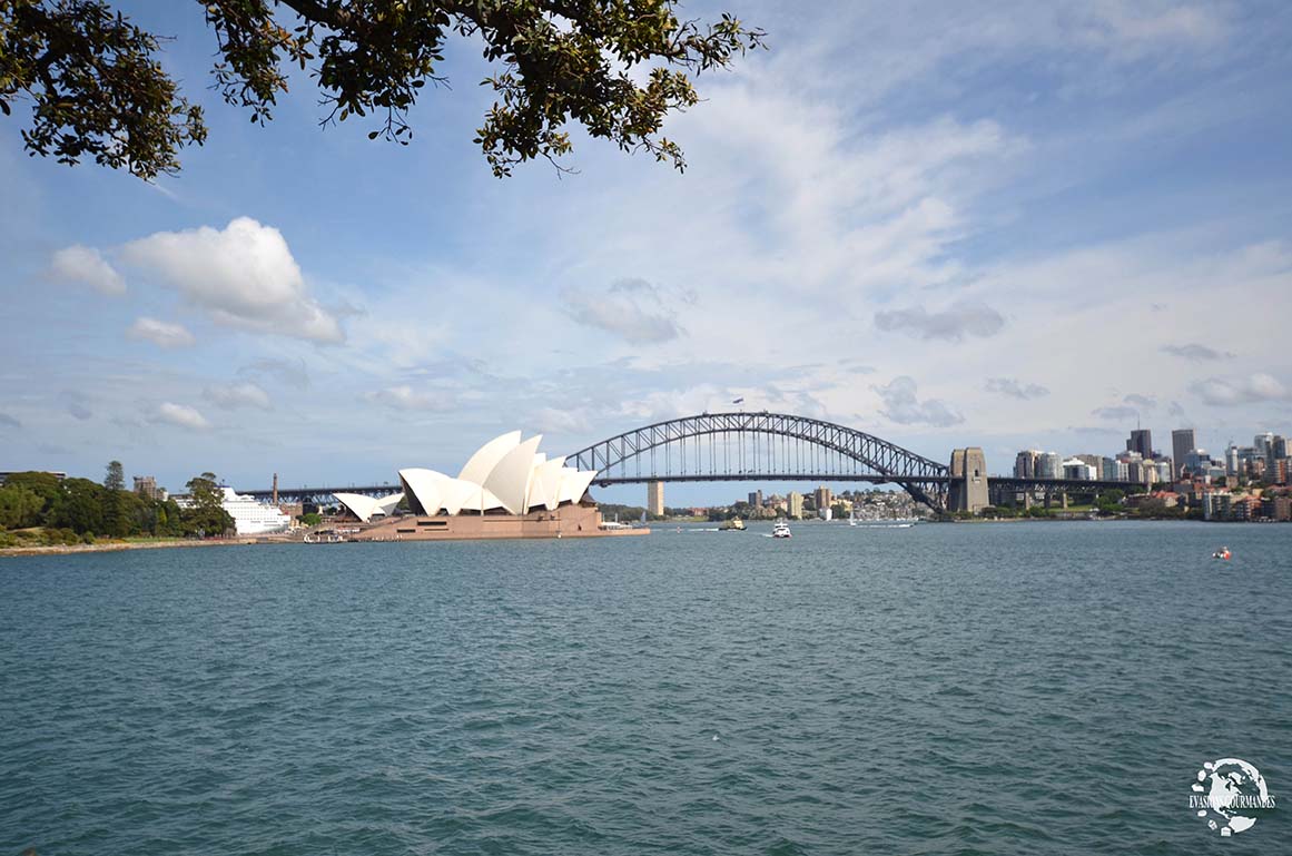 jardin botanique Sydney