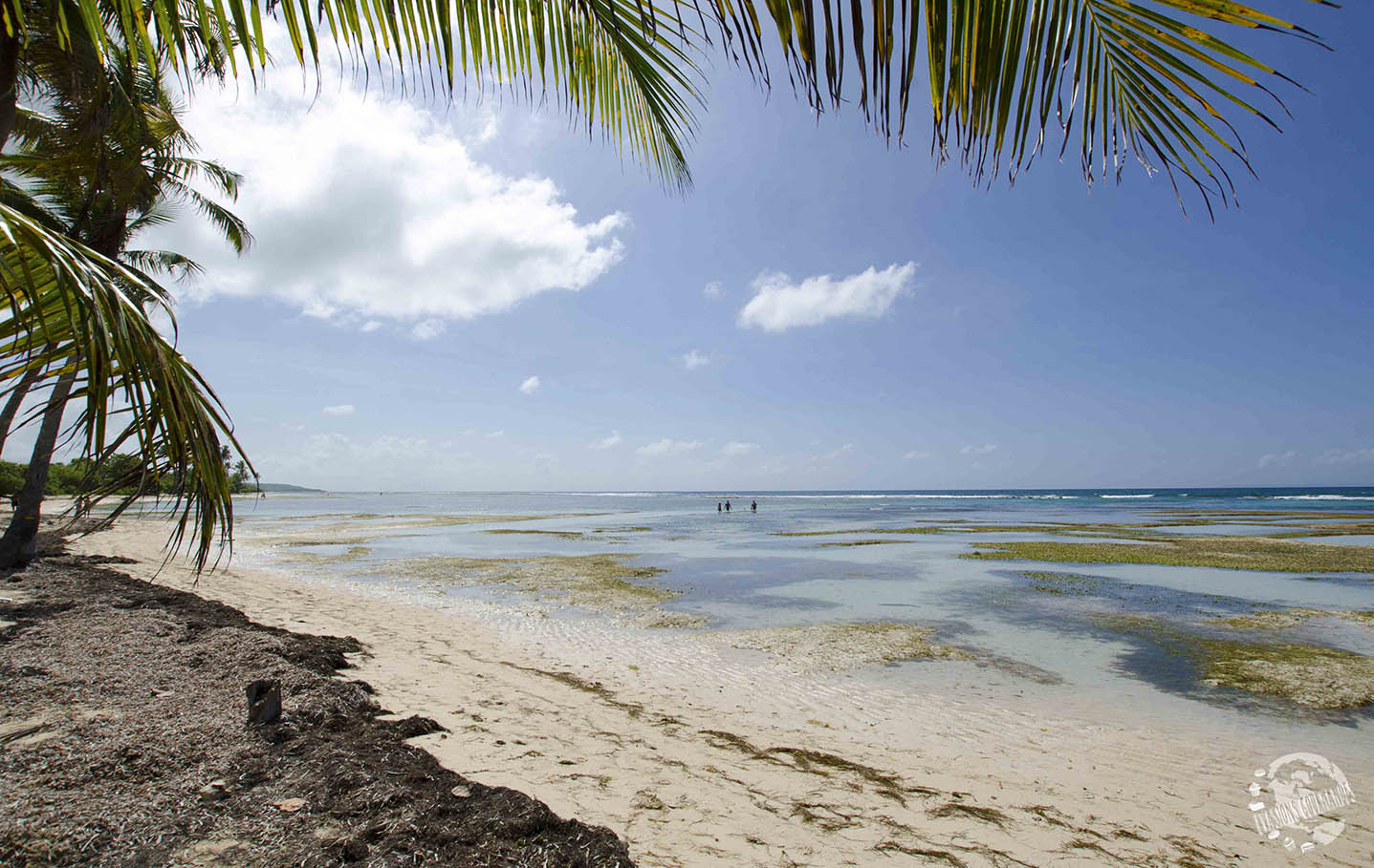 Plus belles plages de Guadeloupe